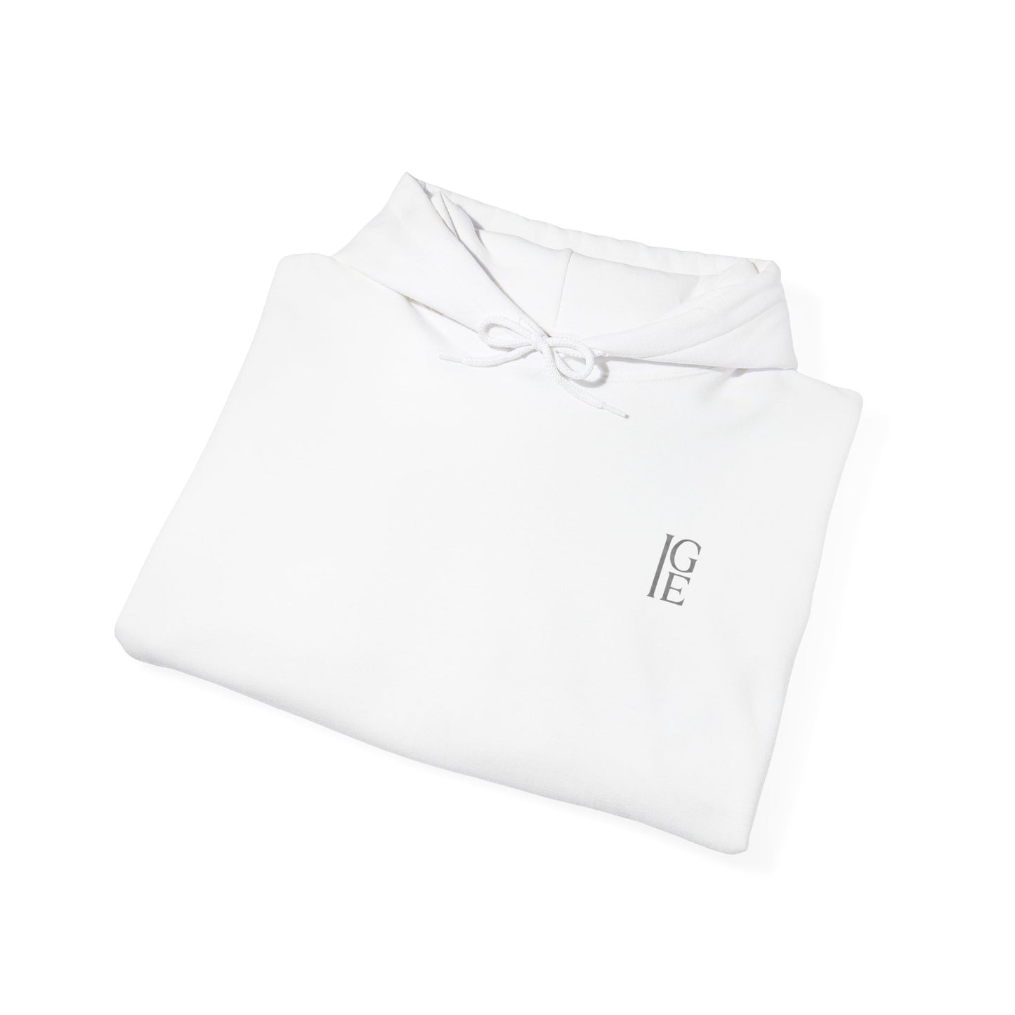 “Sacred Damage Resilience” Hoodie